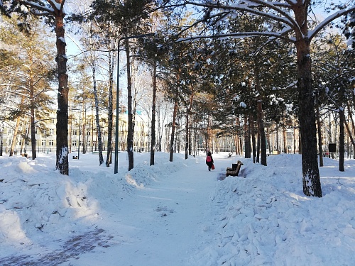 В администрации Тюмени сообщили, будет ли актировка для второй смены 16 февраля