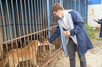 Тюменские активисты ОНФ оказали продуктовую помощь бездомным животным