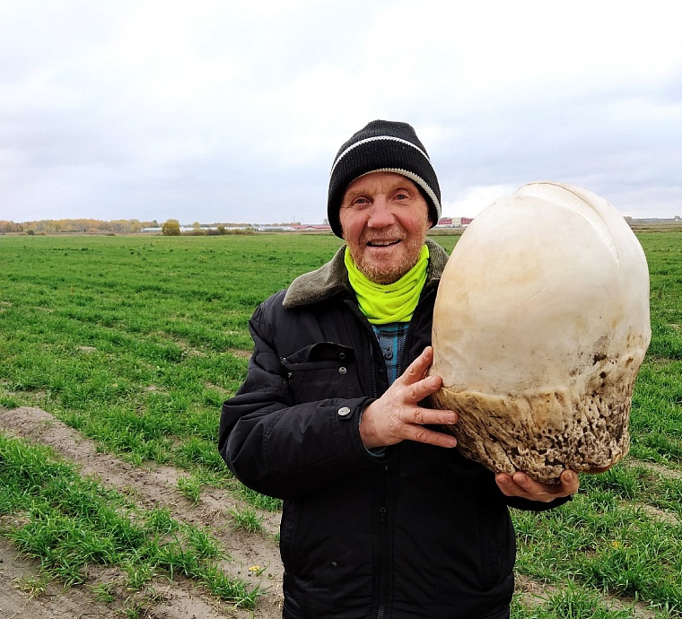 Виталий Огородников нашел второй гриб-гигант