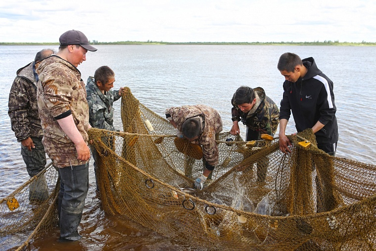 Рыбный промысел традиционно остается одним из основных занятий ямальских малых этносов.