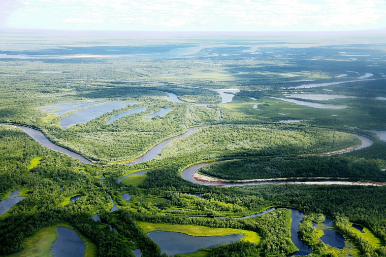 Место прописки - ямальская тундра.