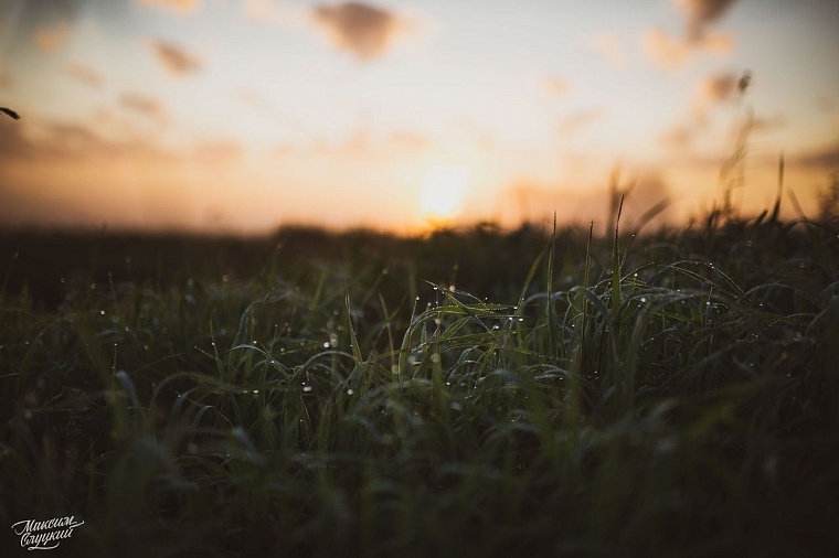 Афиша на уик-энд: «Леди на велосипеде», медитация и чистый лес