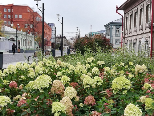 В Тюменской области прогнозируются заморозки