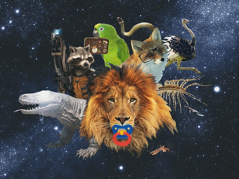 Звери, которые чудили в Тюмени