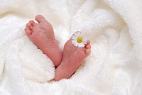 В Тюмени в августе родилось 1 273 малыша
