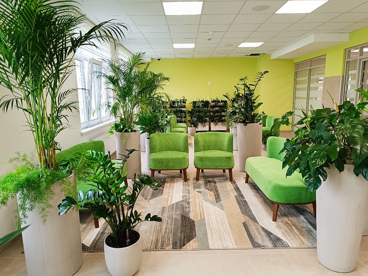 В зимнем саду новой школы на Лесобазе в Тюмени