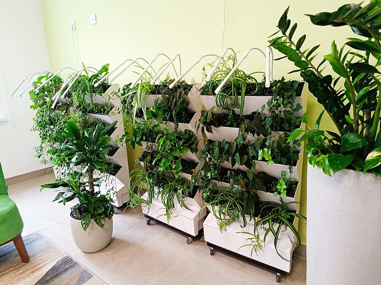 Зимний сад, школа №67, Тюмень