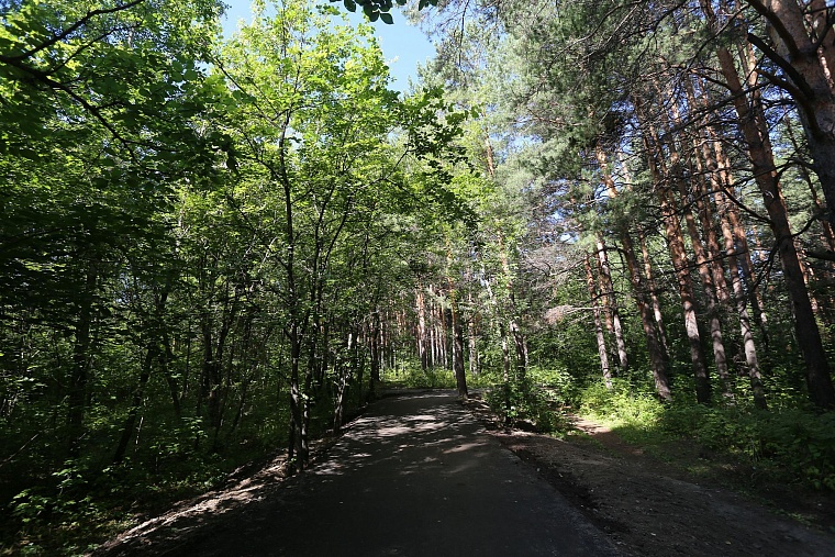 Затюменский: что ждет тюменцев в самом большом экопарке города