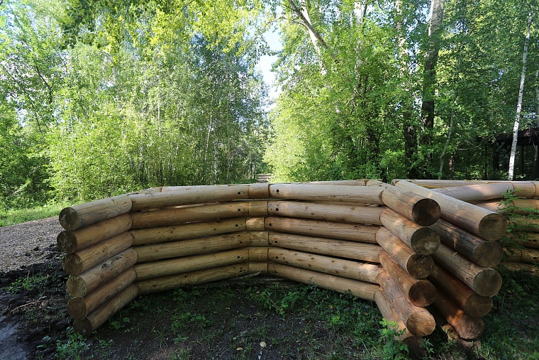 Затюменский: что ждет тюменцев в самом большом экопарке города