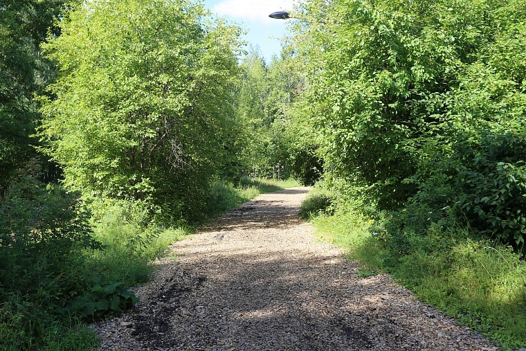 Затюменский: что ждет тюменцев в самом большом экопарке города