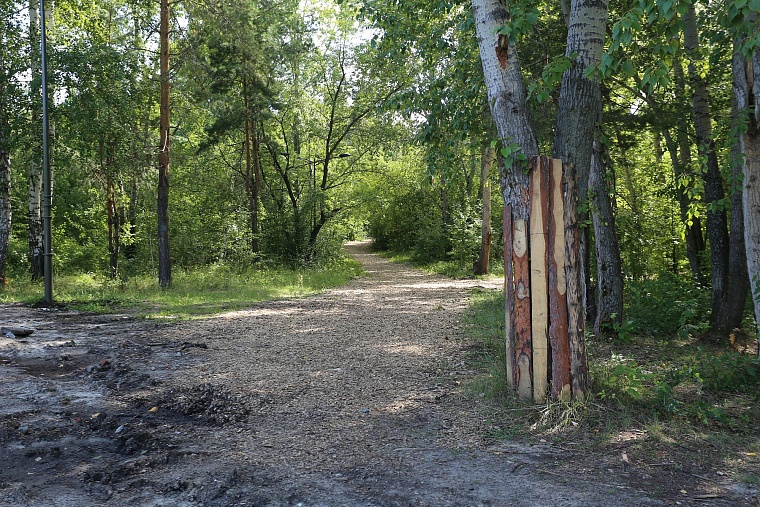 Затюменский: что ждет тюменцев в самом большом экопарке города
