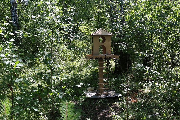 Затюменский: что ждет тюменцев в самом большом экопарке города