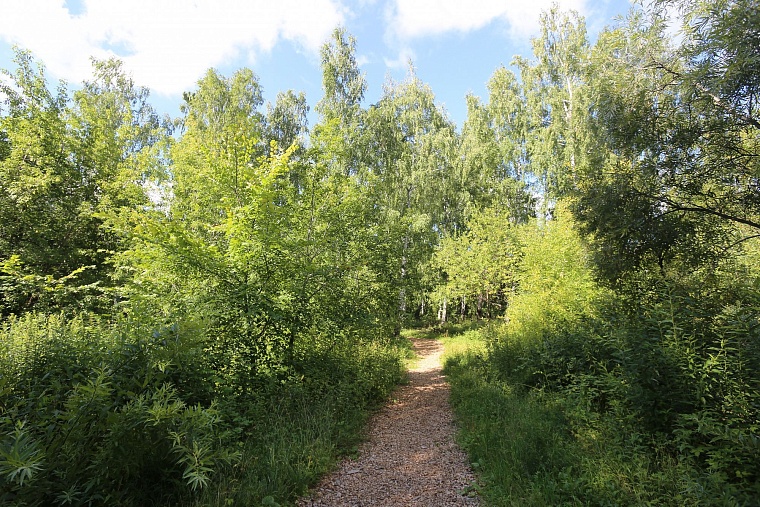 Затюменский: что ждет тюменцев в самом большом экопарке города