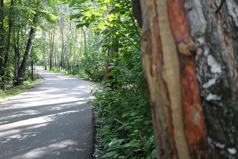 Затюменский: что ждет тюменцев в самом большом экопарке города