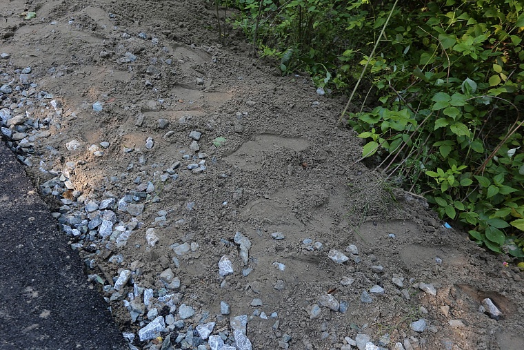 Затюменский: что ждет тюменцев в самом большом экопарке города