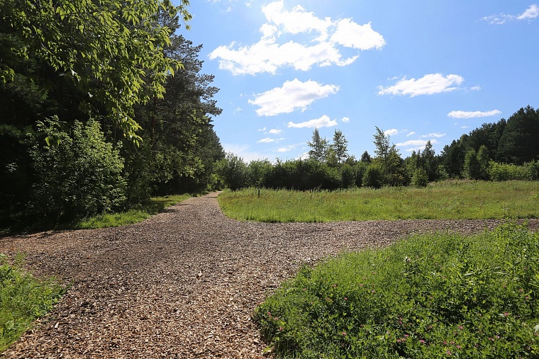 Затюменский: что ждет тюменцев в самом большом экопарке города