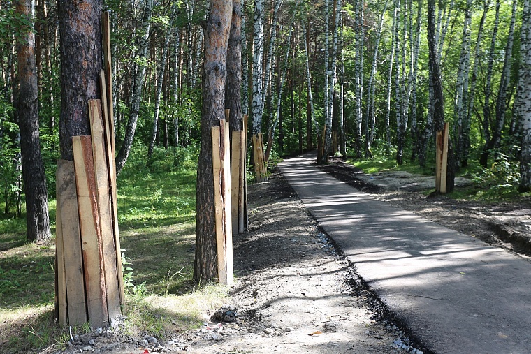 Затюменский: что ждет тюменцев в самом большом экопарке города