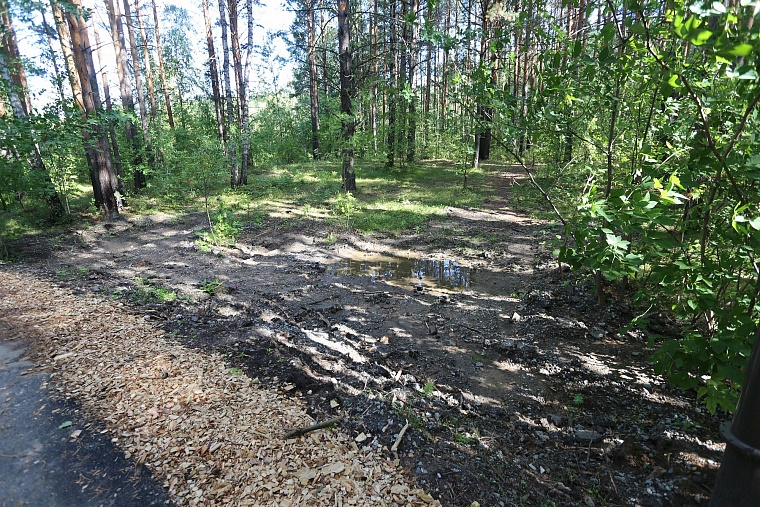 Затюменский: что ждет тюменцев в самом большом экопарке города