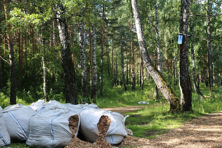 Затюменский: что ждет тюменцев в самом большом экопарке города