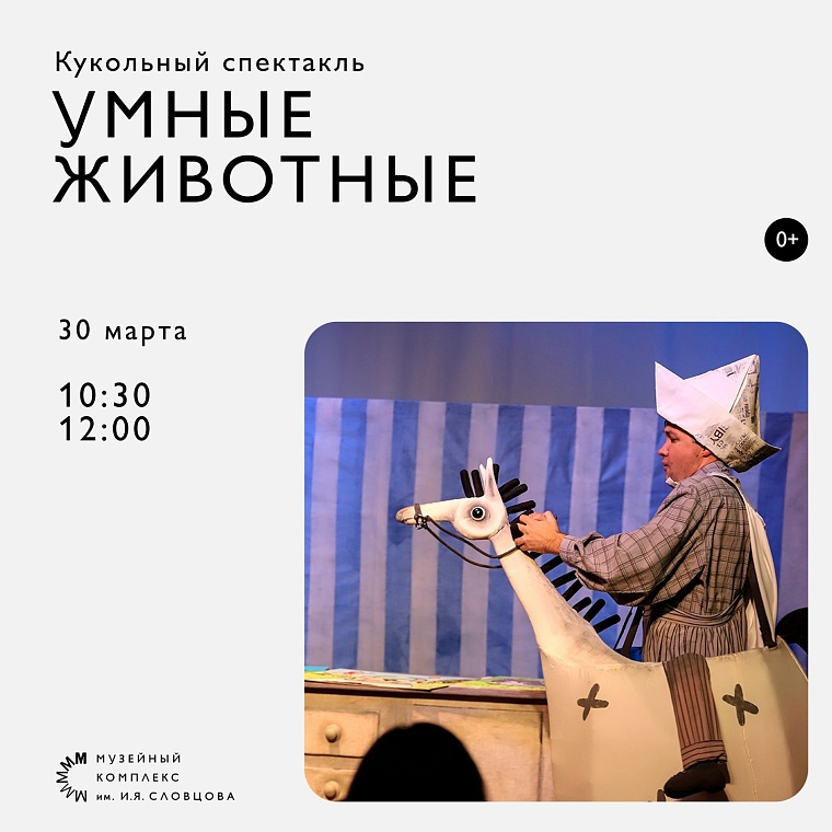 Афиша на выходные в Тюмени: умные животные, средневековый фестиваль, роспись бокалов