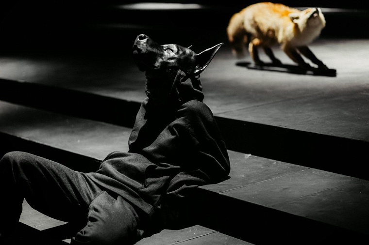 Афиша на выходные в Тюмени: умные животные, средневековый фестиваль, роспись бокалов