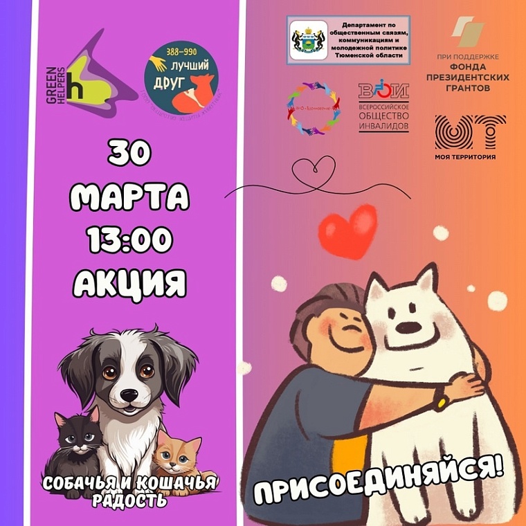 Афиша на выходные в Тюмени: умные животные, средневековый фестиваль, роспись бокалов