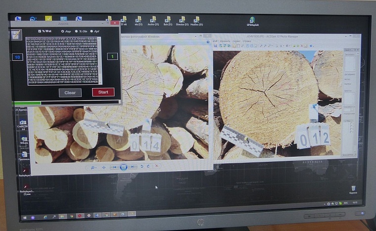 Открытием тюменского ученого-лесника заинтересовались в США, Канаде, Финляндии...