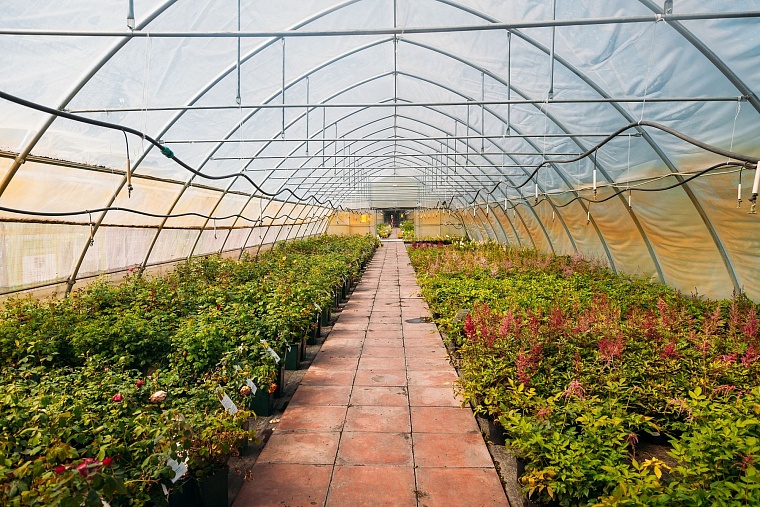 Идеи для городских пространств Тюмени подскажет AstraGarden