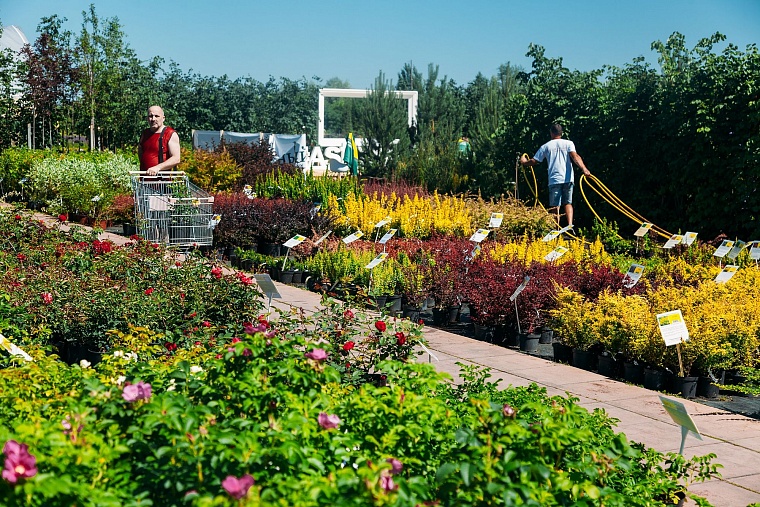 Идеи для городских пространств Тюмени подскажет AstraGarden