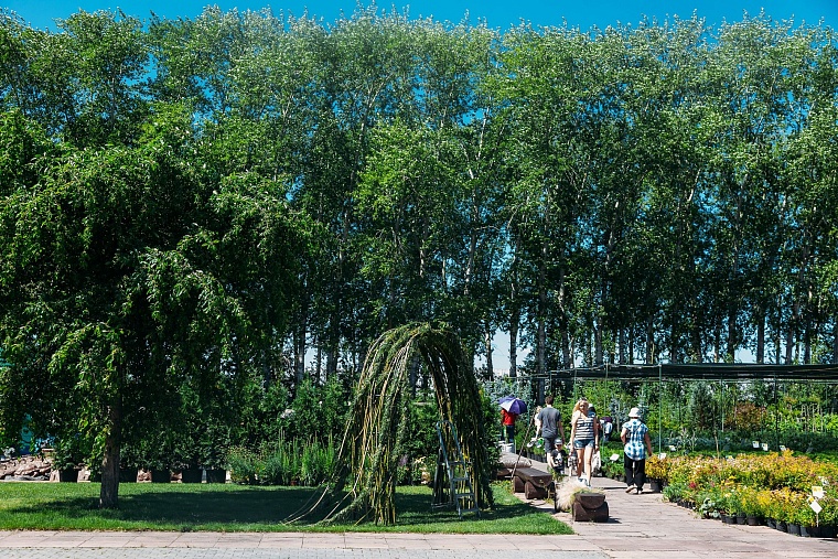 Идеи для городских пространств Тюмени подскажет AstraGarden