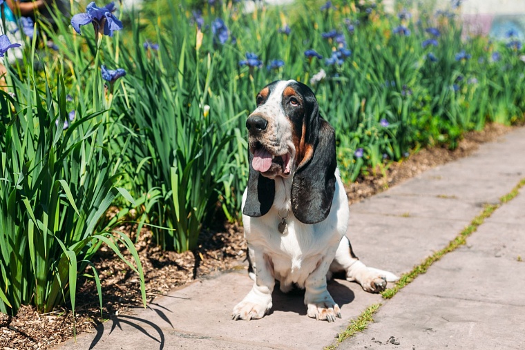 Идеи для городских пространств Тюмени подскажет AstraGarden