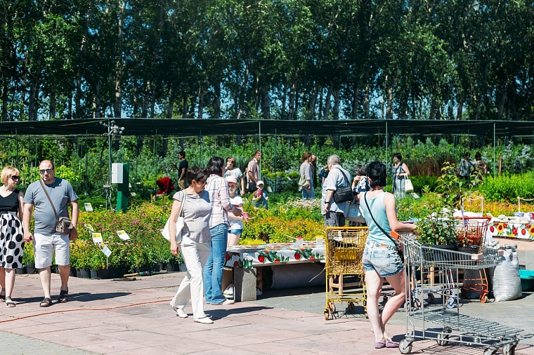 Идеи для городских пространств Тюмени подскажет AstraGarden