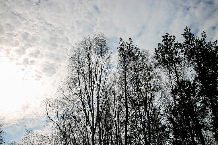 Народные приметы: начинается подготовка к Благовещению