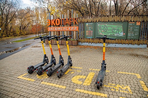 Парки Тюмени заживут общественной жизнью