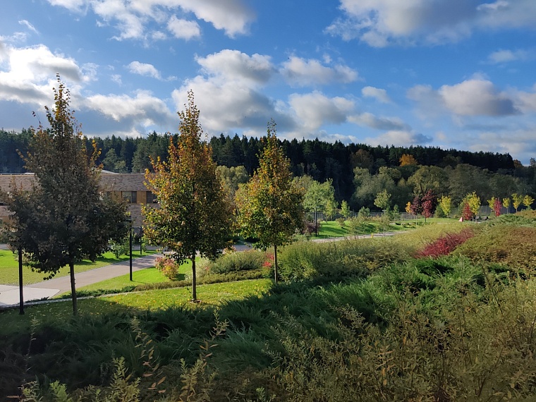 Территория школы очень красива