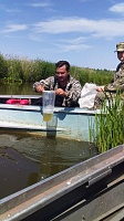 Специалисты назвали причину гибели рыбы на озере Андреевском