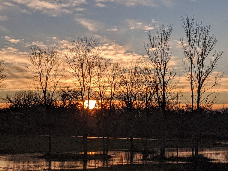 Фото: pixabay.com