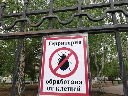 В Тюменской области более 13,7 тыс. человек пострадали от клещей