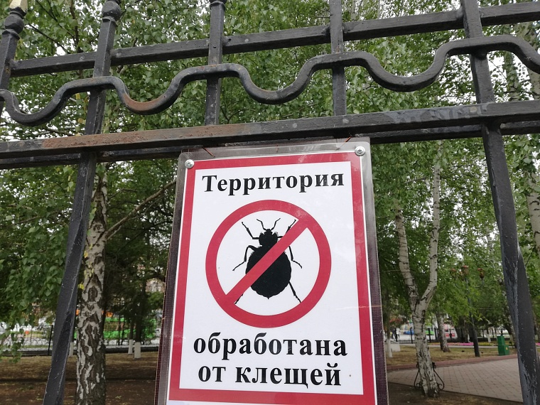 В Тюменской области более 13,7 тыс. человек пострадали от клещей