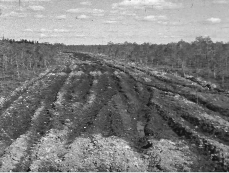 «Дьявольский» Самотлор, валюта и невыполнимые планы - сколько стране стоила стабильность