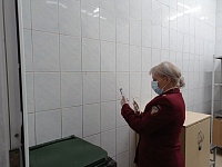 Два таракана медленно ползали по стенам в тюменском "Мегамарте" при проверке Роспотребнадзора