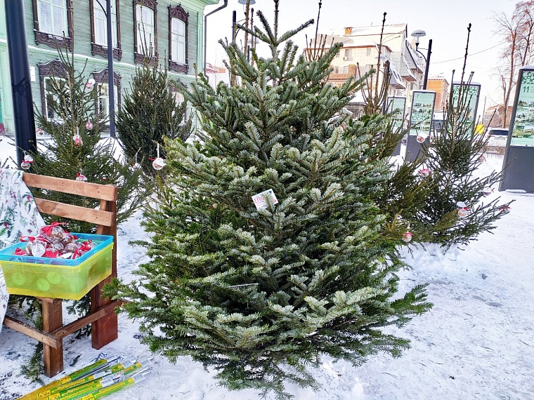 Сбитень, валенки, мед: чем торгуют на ярмарке по ул. Дзержинского