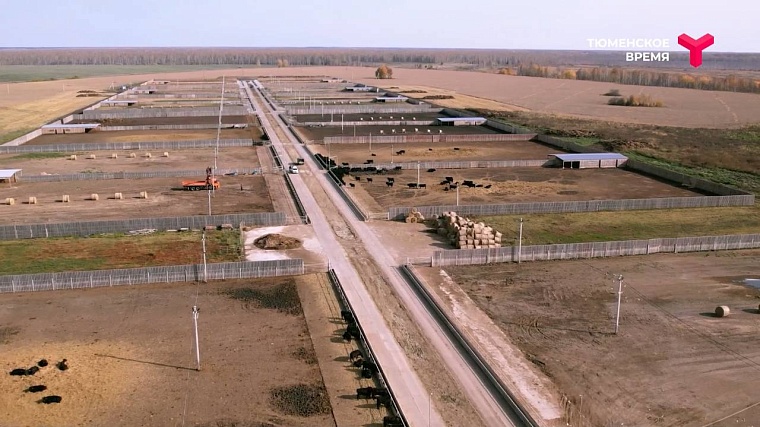 Усадьба Кузнецовых, святой источник, мраморная говядина: чем прославился Юргинский район