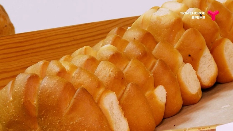 Усадьба Кузнецовых, святой источник, мраморная говядина: чем прославился Юргинский район