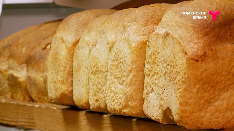 Усадьба Кузнецовых, святой источник, мраморная говядина: чем прославился Юргинский район