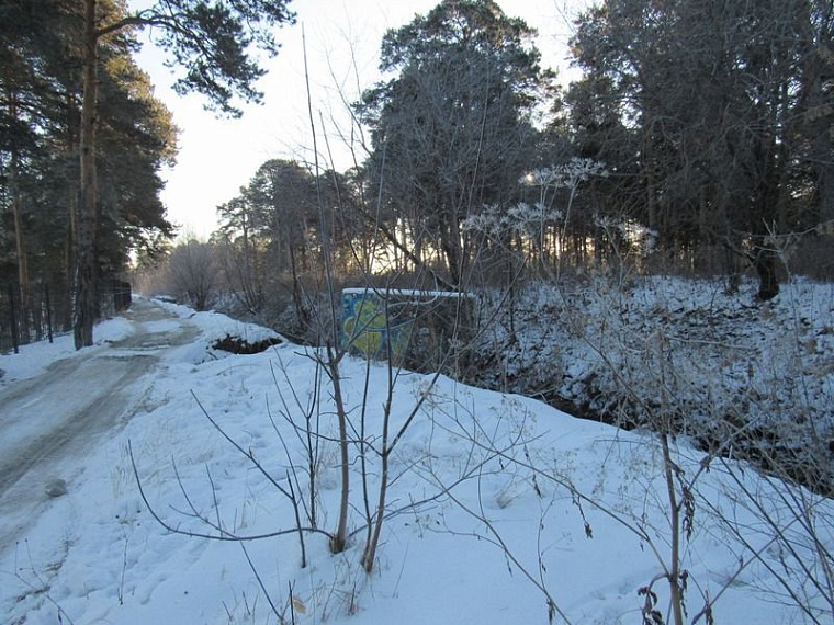 Благоустройство Гилевской рощи начали с расчистки русла ручья Ключи