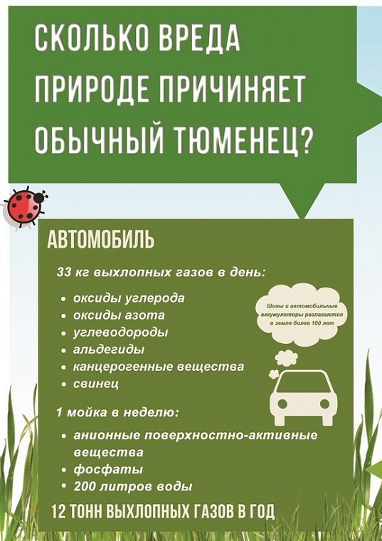 Сколько вреда экологии приносит обычный тюменец?