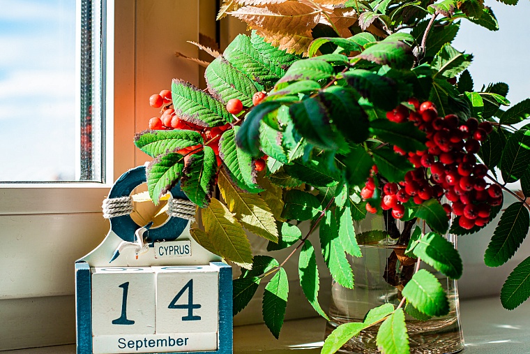 Пока вы спали: болезни, с которыми не мобилизуют; новая функция WhatsApp и подорожание меню ресторанов