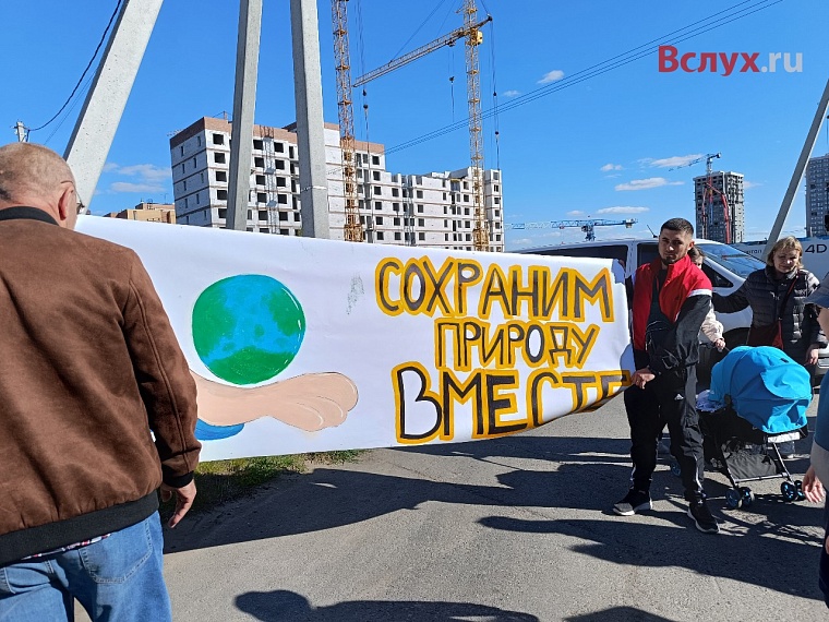 Жители Комарова высказались против мангальных зон в новом экопарке