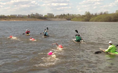 В честь Дня Победы тюменские моржи проплыли по Туре